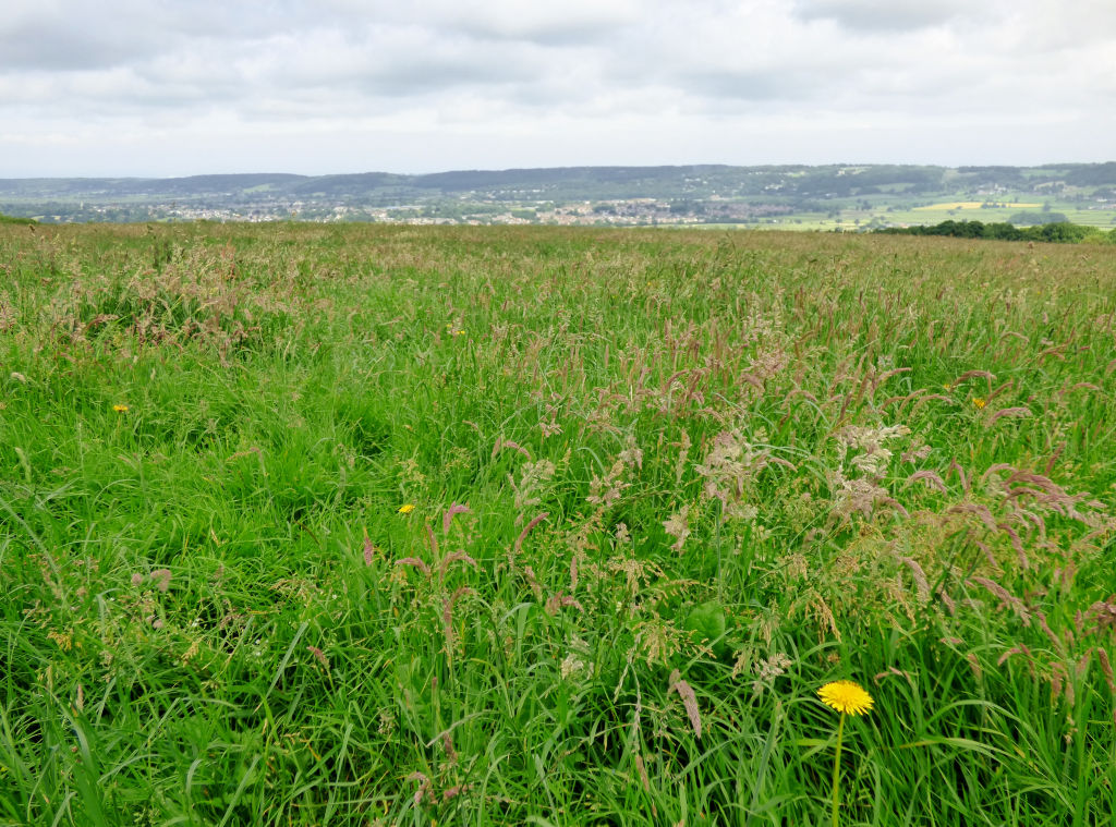 Barrow view sm
