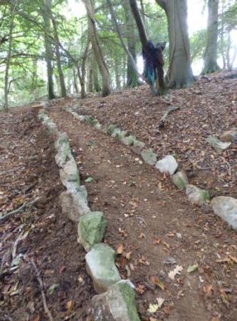 Geology Trail 4