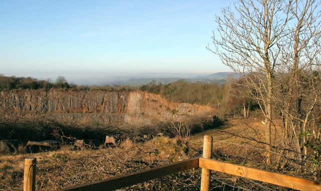Badgers Wood