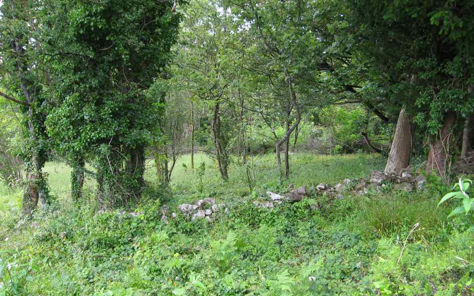 1. Before and overgrown