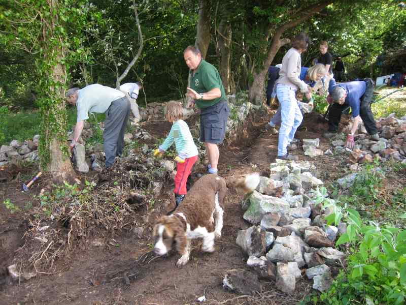 4. Piper helping