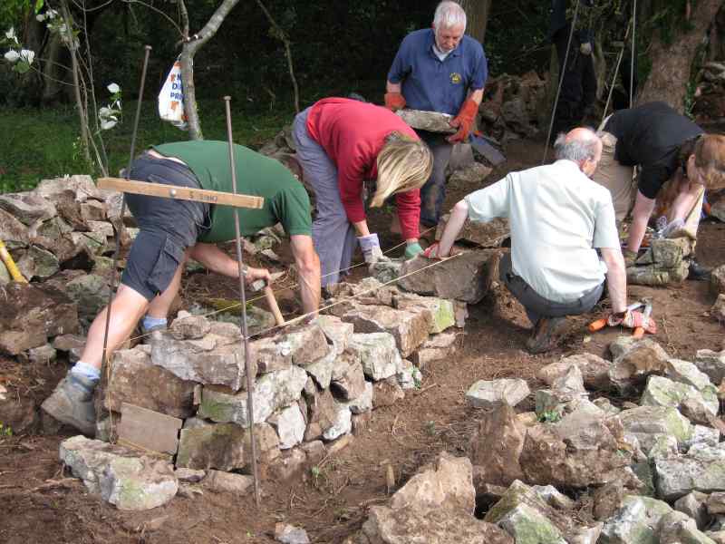 6. Starting to rebuild