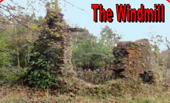 Autumn Walk 2012 3