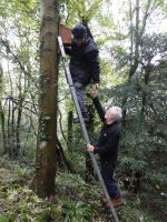 Nest Box Survey 2013/2014