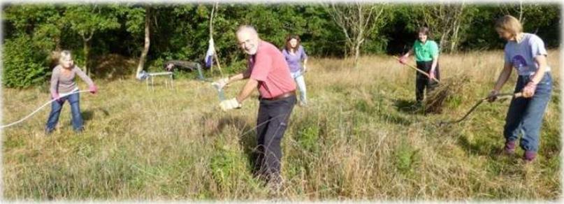 A Volunteer’s Tale
