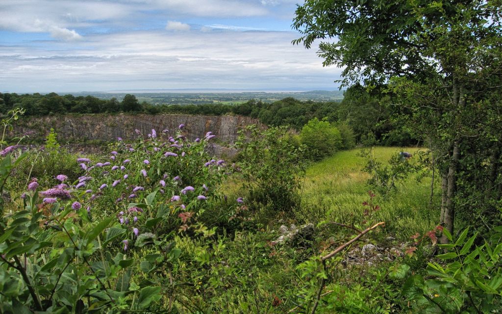 Quarry View