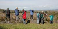 Spring Bird Walk – April 2016