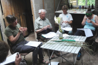 Grass Identification Course