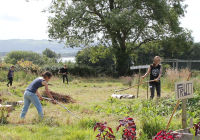 Scything at Chew – August 2017