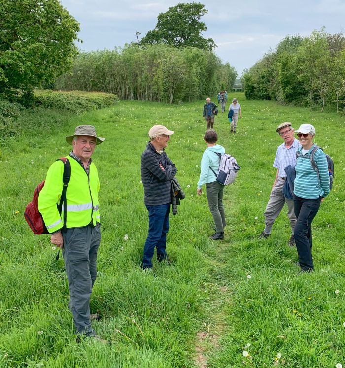 Walk 2019 3 700