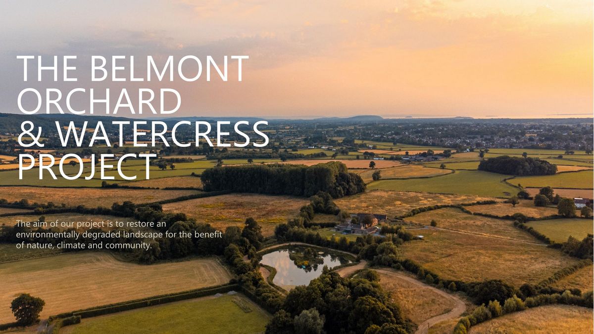 Belmont Vision