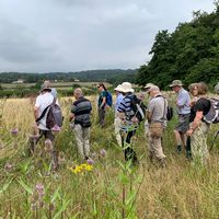 Watercress Farm – July 2022