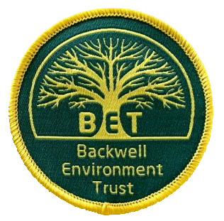BET Badge sm outline
