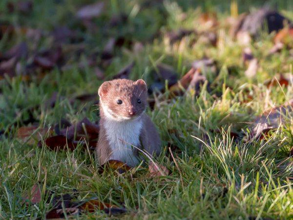 Viv’s Latest Blog – 19th October 2026